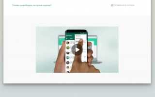 Обзор WhatsApp Web
