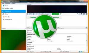 Как пользоваться торрентом для скачивания любимых файлов из интернета. Подробнейшая инструкция для чайников