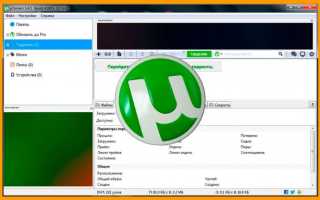 Как пользоваться торрентом для скачивания любимых файлов из интернета. Подробнейшая инструкция для чайников