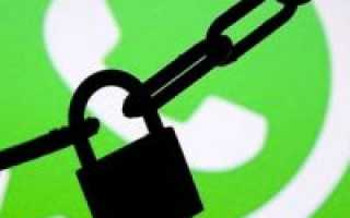 Momo в мессенджере WhatsApp