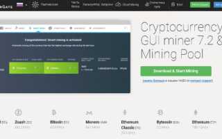 MinerGate – обзор возможностей пула и облачного майнинга