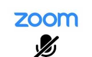 Приложение Zoom для компьютера