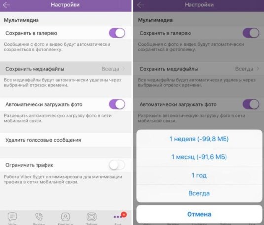 Мультимедиа